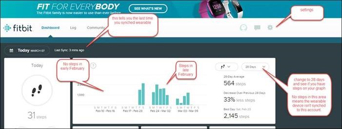 Fitbit Dashboard